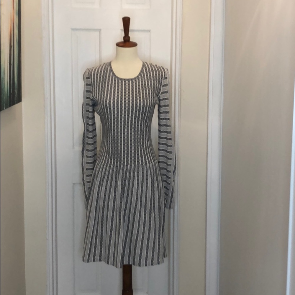 BCBGMAXAZRIA skater a line dress